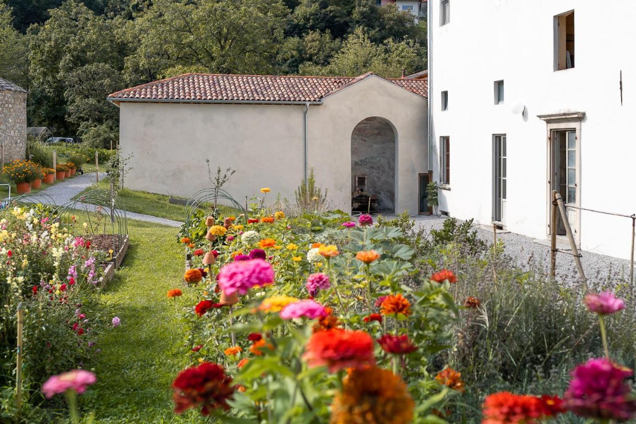 Agriturismo La Derta Villa Bellagio Exteriör bild