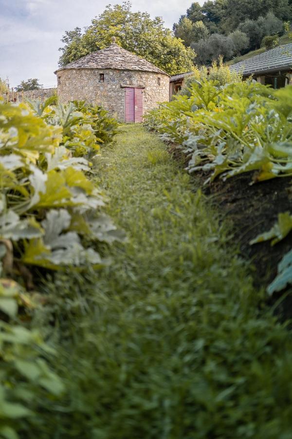 Agriturismo La Derta Villa Bellagio Exteriör bild